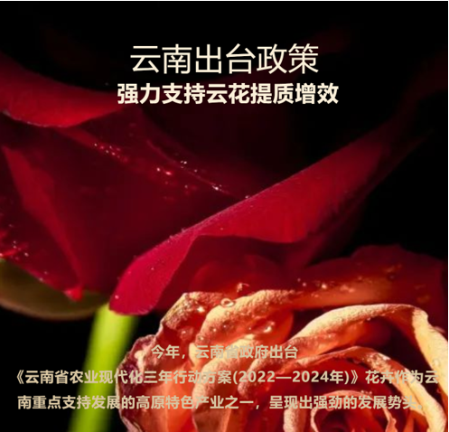 &#20247;&#24425;&#23448;&#32593;&#45;&#40;&#20013;&#22269;&#41;&#32929;&#20221;&#26377;&#38480;&#20844;&#21496;